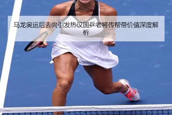 马龙奥运后去向引发热议国乒老将传帮带价值深度解析
